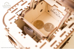 Treasure Box Model